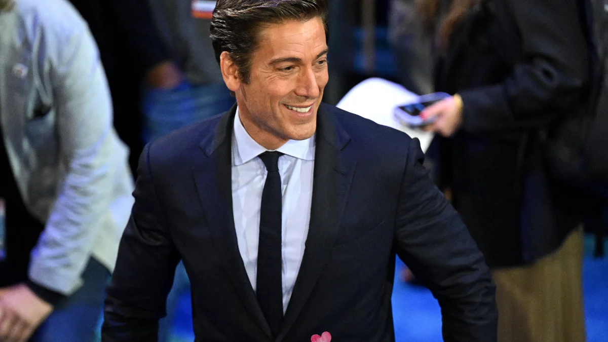 Is David Muir Gay